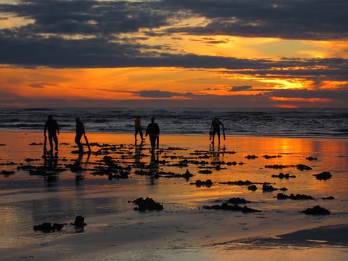 digging for clams in Nova Scotia with sunsetting 