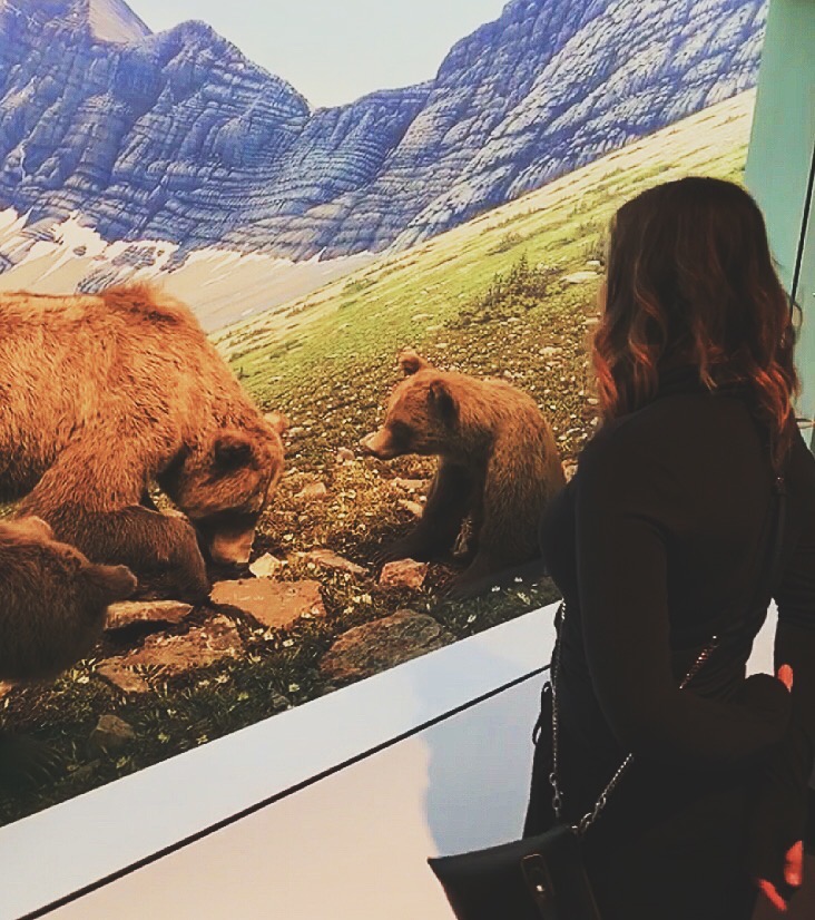 museum is a great activity. girl looking at bears 